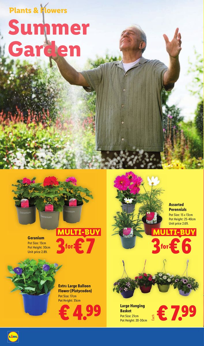 Lidl catalog page 24 — 2026-07-02 to 2026-07-08