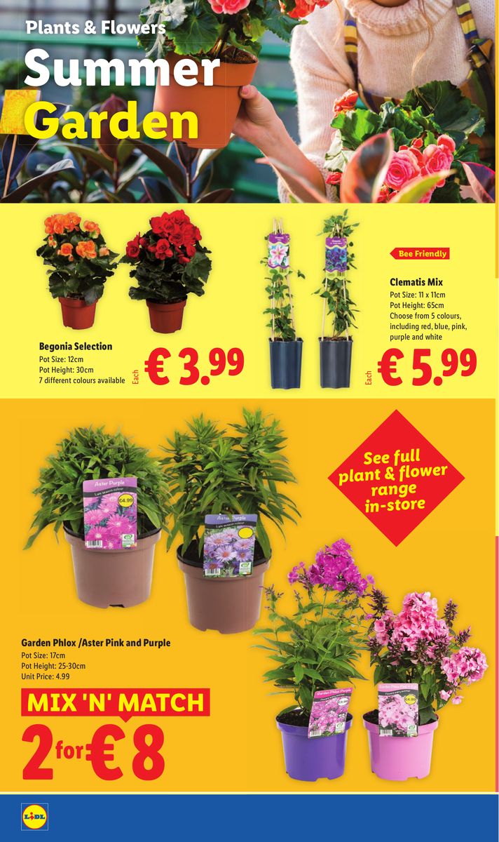 Lidl catalog page 24 — 2026-07-09 to 2026-07-15