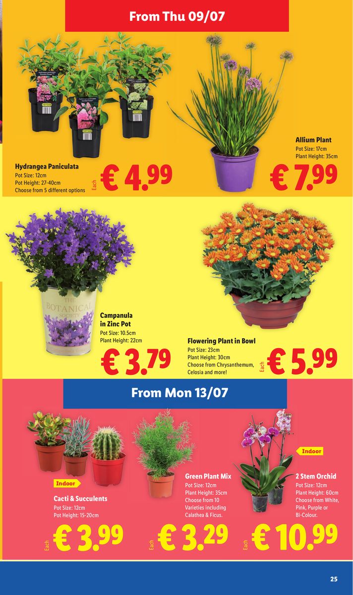 Lidl catalog page 25 — 2026-07-09 to 2026-07-15