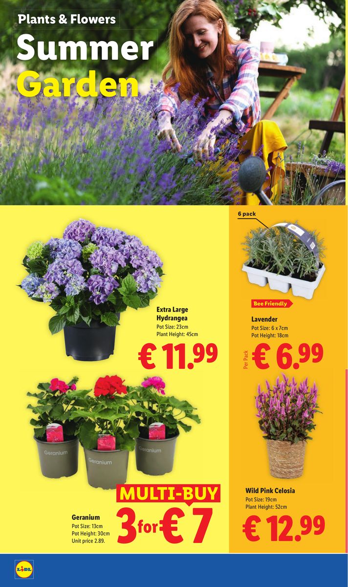 Lidl catalog page 26 — 2026-07-16 to 2026-07-22