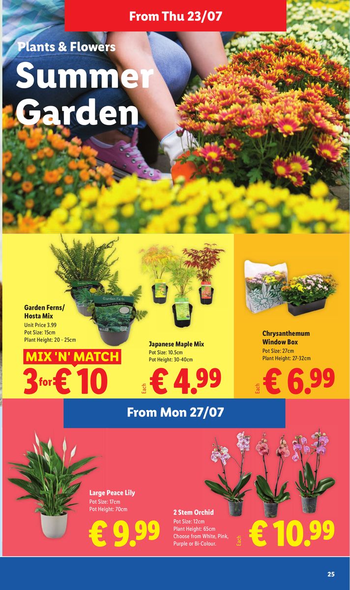 Lidl catalog page 25 — 2026-07-23 to 2026-07-29
