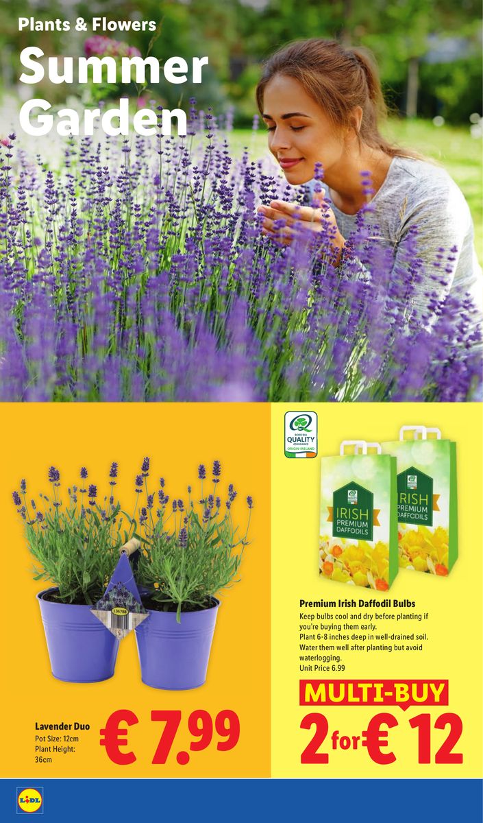 Lidl catalog page 24 — 2026-08-13 to 2026-08-19