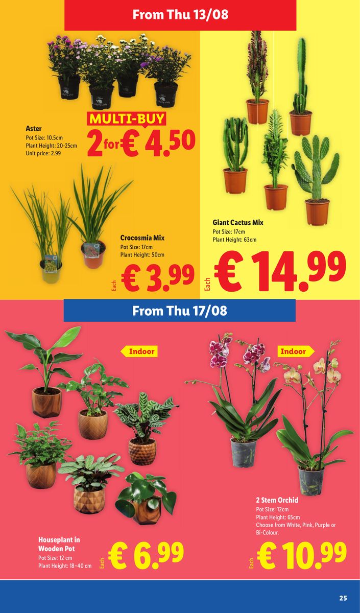 Lidl catalog page 25 — 2026-08-13 to 2026-08-19