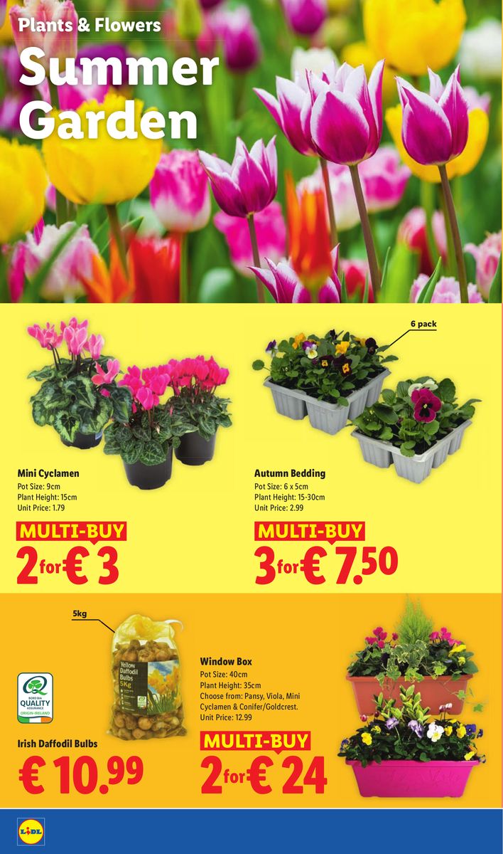 Lidl catalog page 24 — 2026-08-20 to 2026-08-26