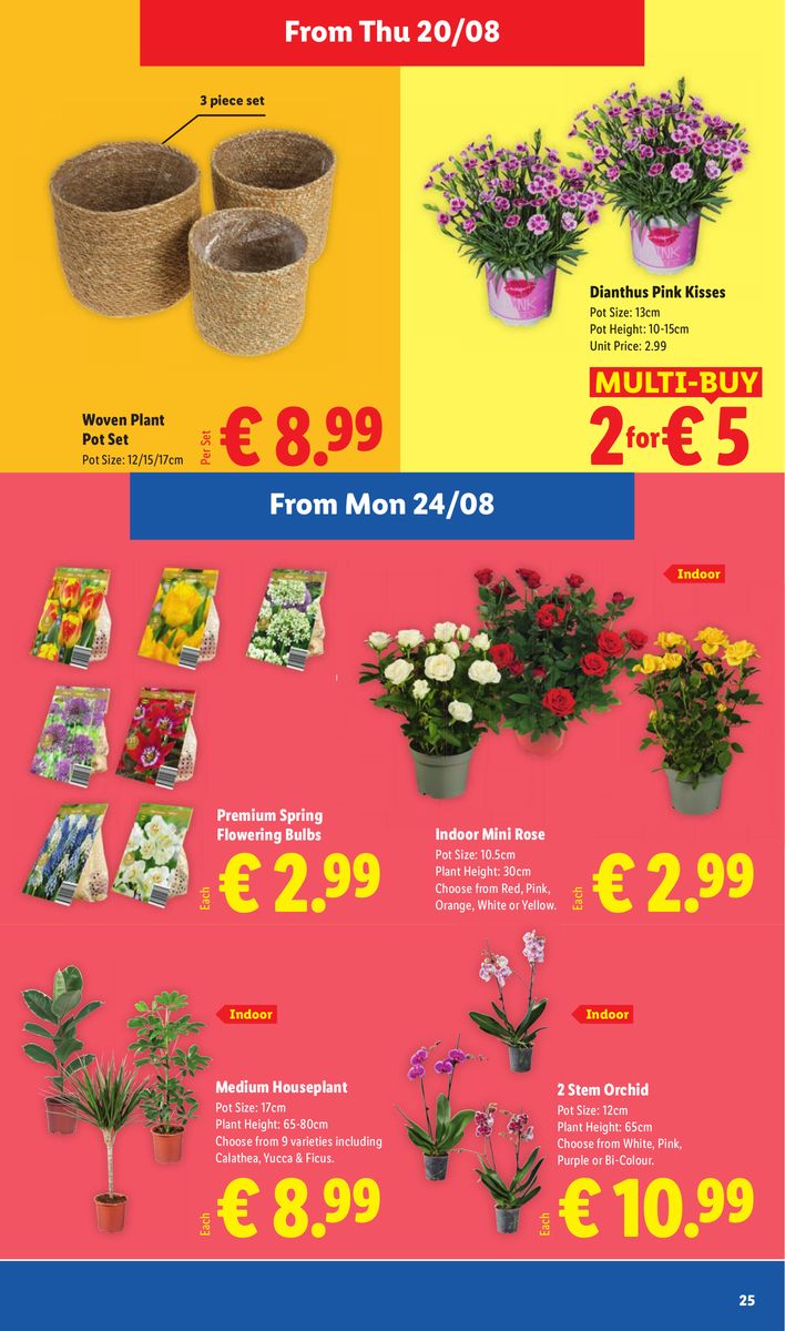 Lidl catalog page 25 — 2026-08-20 to 2026-08-26