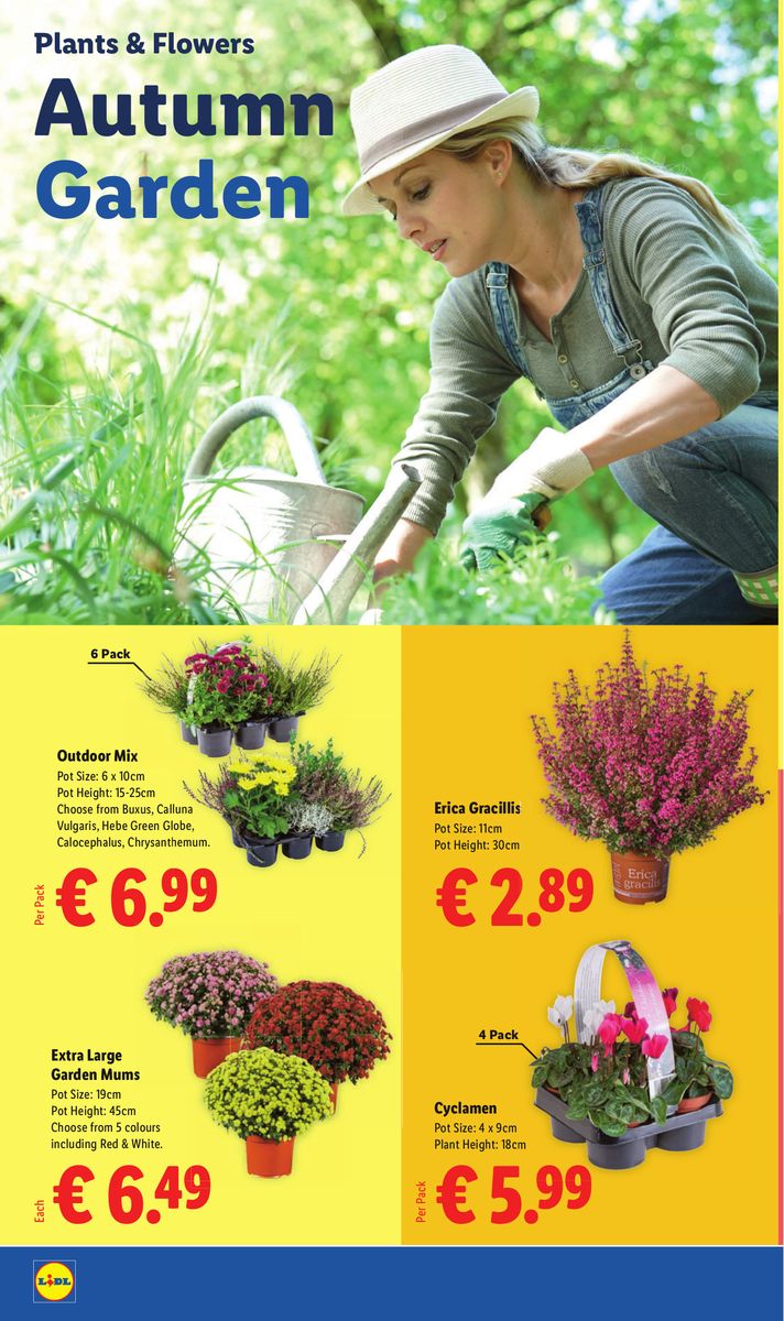 Lidl catalog page 26 — 2026-09-10 to 2026-09-16