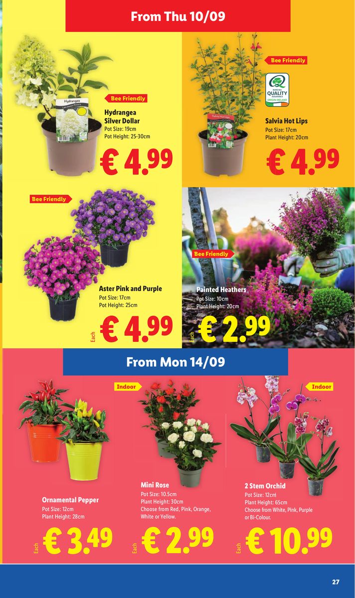 Lidl catalog page 27 — 2026-09-10 to 2026-09-16