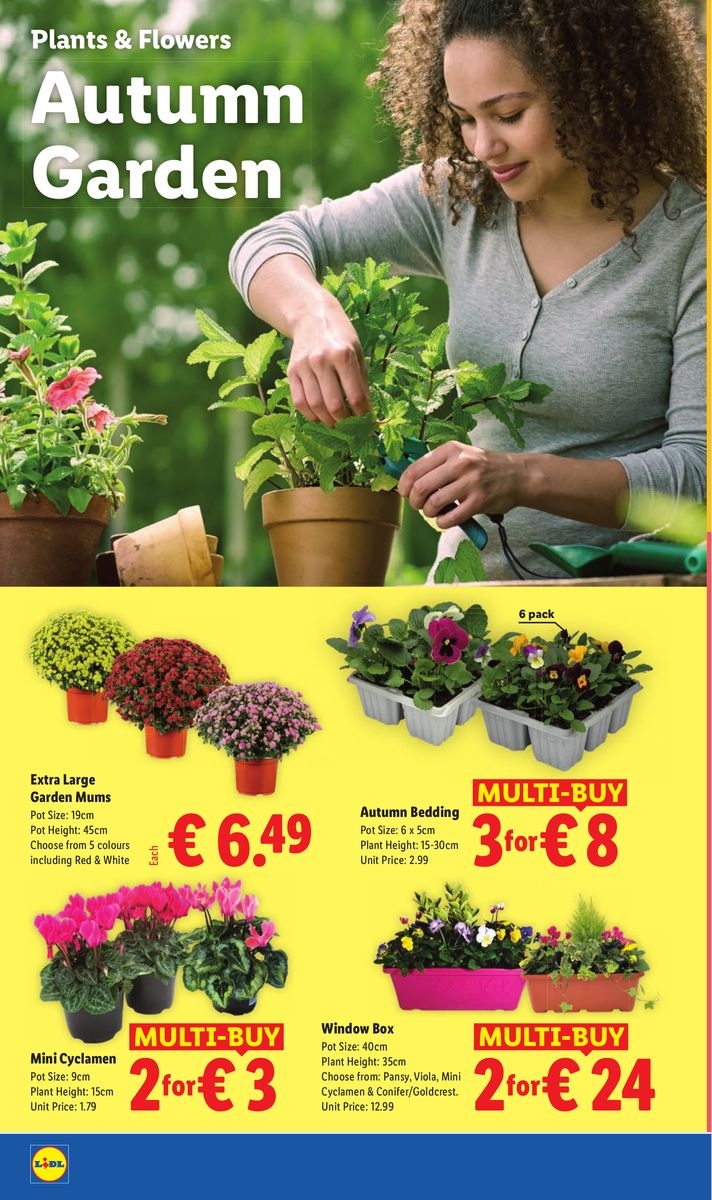 Lidl catalog page 24 — 2026-09-17 to 2026-09-23