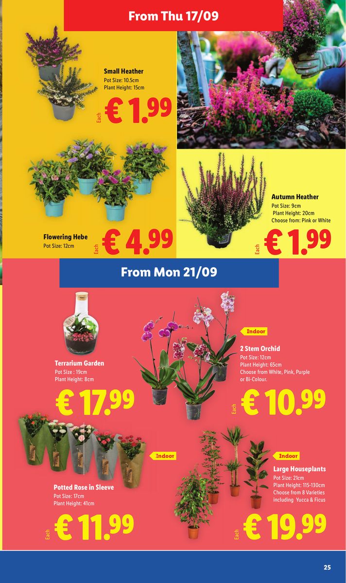 Lidl catalog page 25 — 2026-09-17 to 2026-09-23