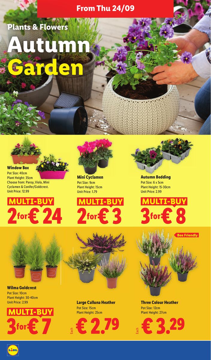 Lidl catalog page 22 — 2026-09-24 to 2026-09-30