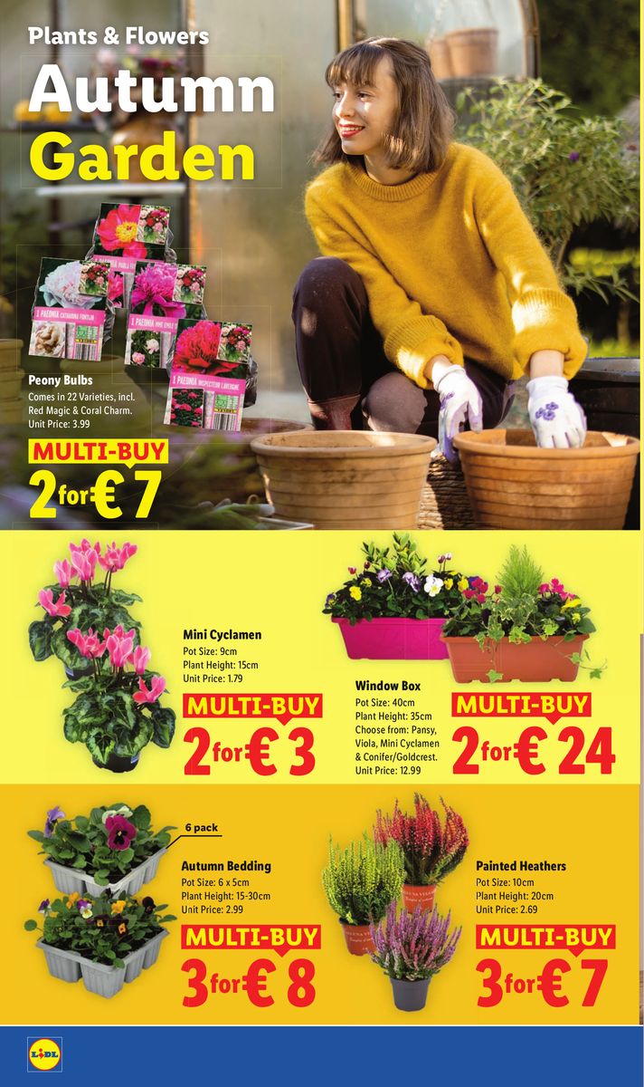 Lidl catalog page 22 — 2026-10-01 to 2026-10-07