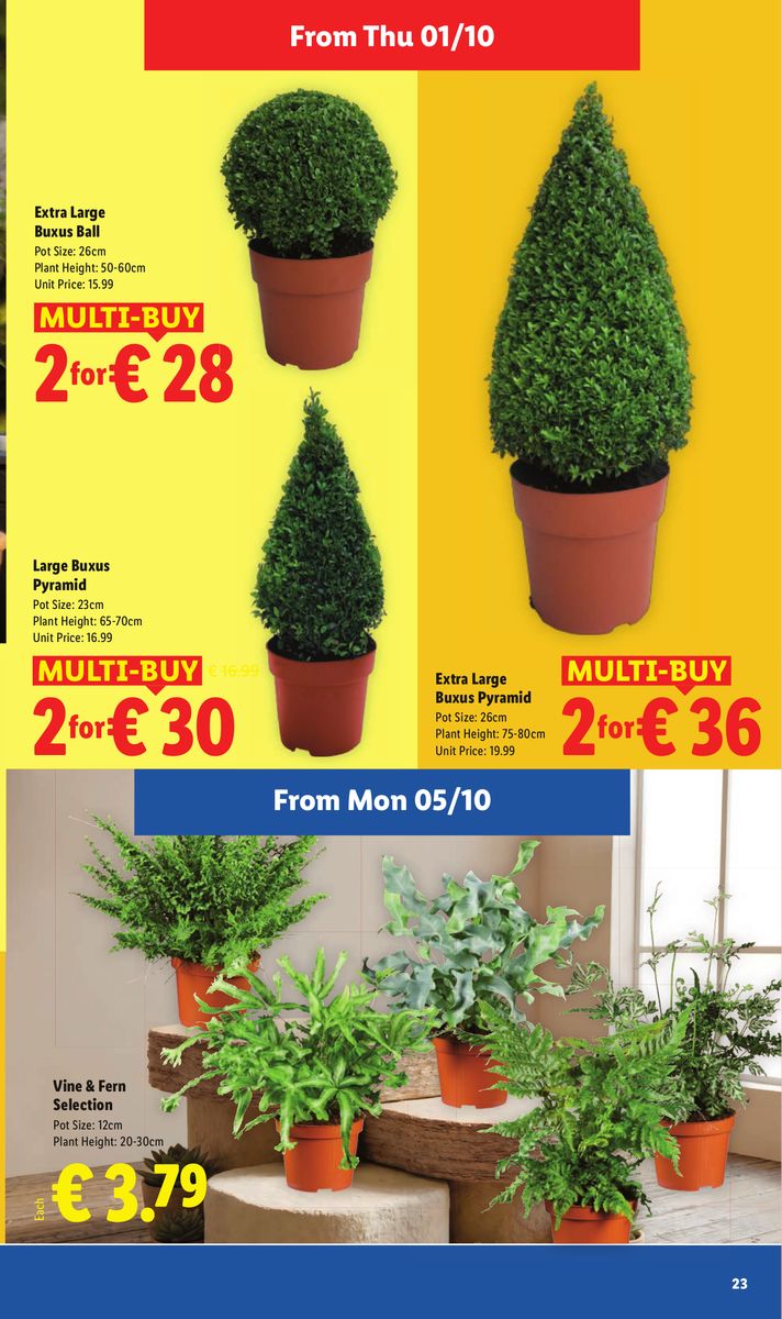 Lidl catalog page 23 — 2026-10-01 to 2026-10-07