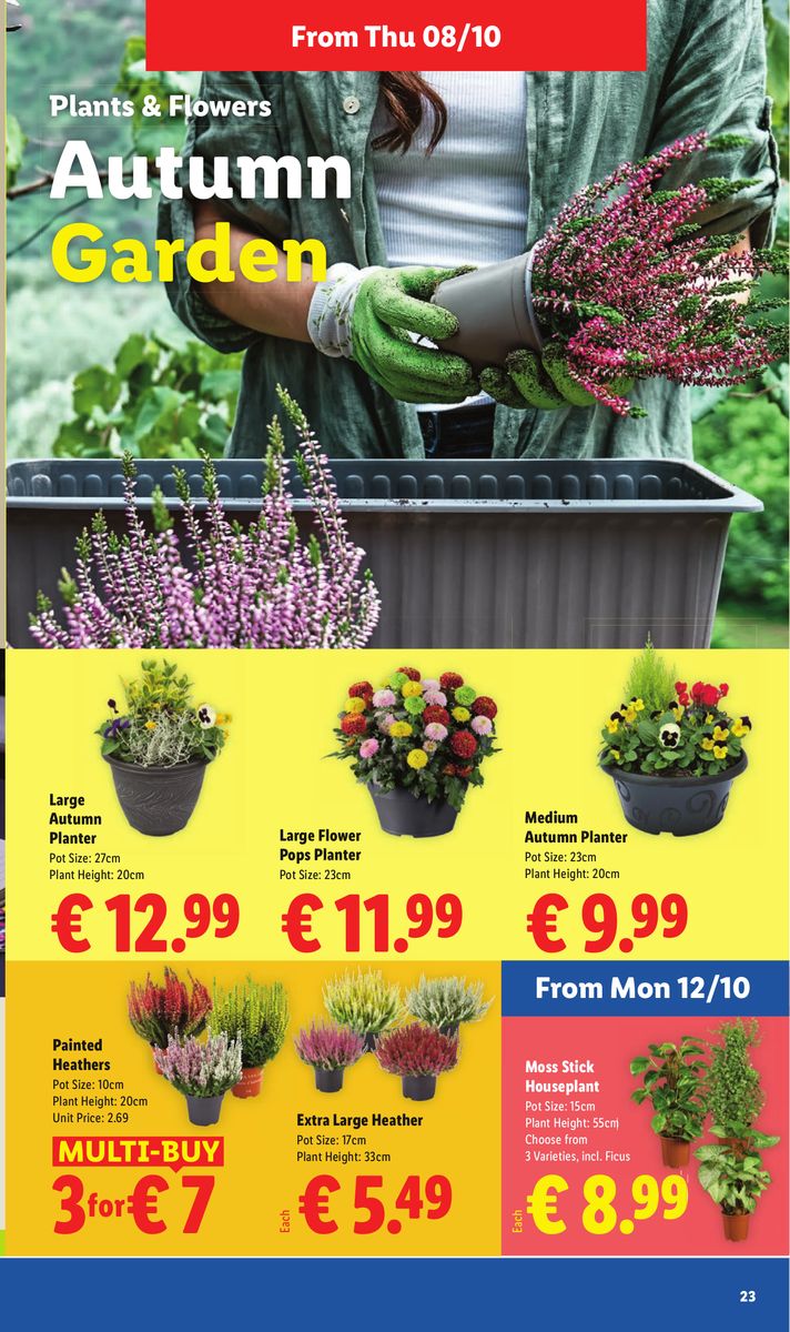 Lidl catalog page 23 — 2026-10-08 to 2026-10-14