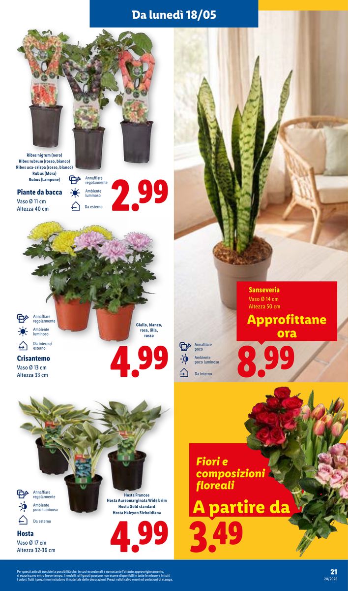 Lidl catalog page 29 — 2026-05-14 to 2026-05-20