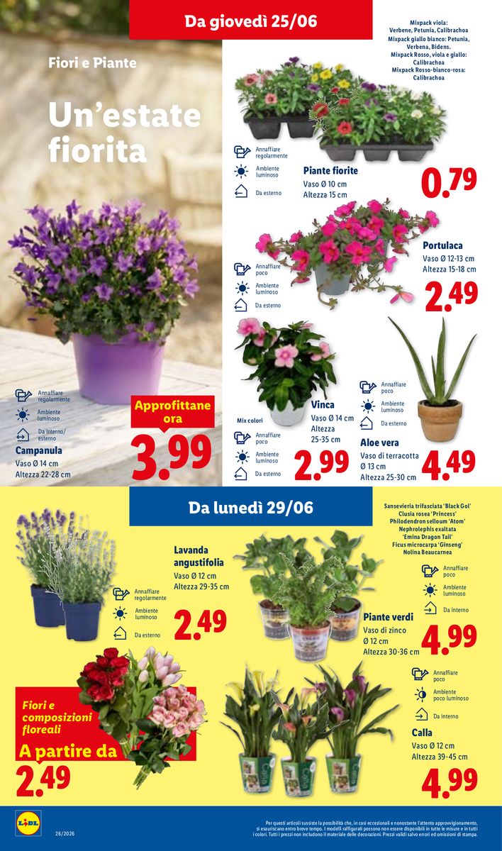 Lidl catalog page 36 — 2026-06-25 to 2026-07-01