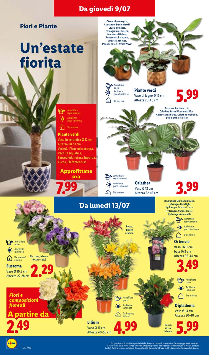 Lidl catalog page 36 — 2026-07-09 to 2026-07-15