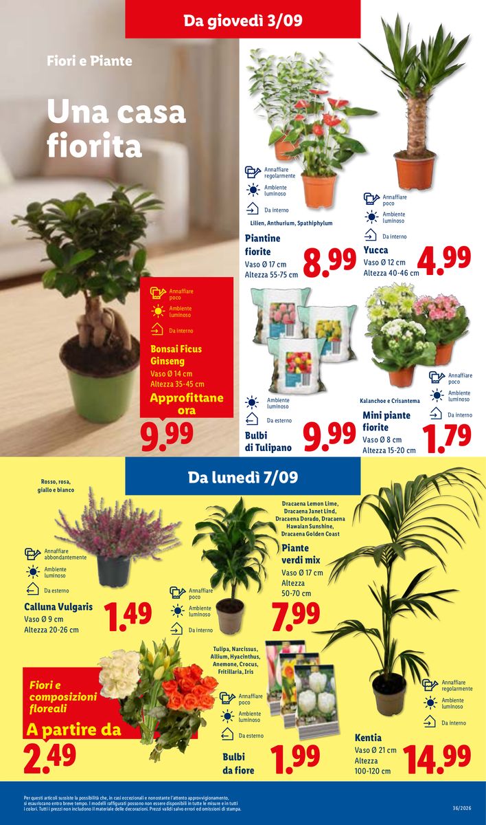 Lidl catalog page 11 — 2026-09-03 to 2026-09-09