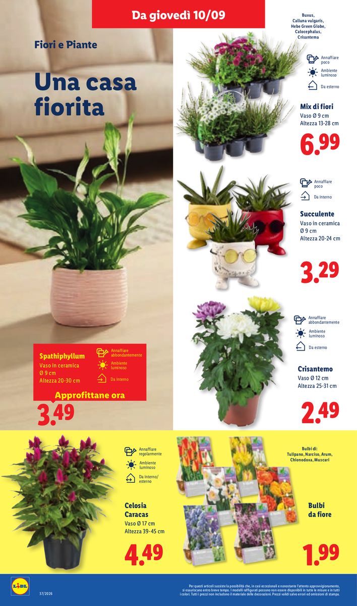 Lidl catalog page 46 — 2026-09-10 to 2026-09-16
