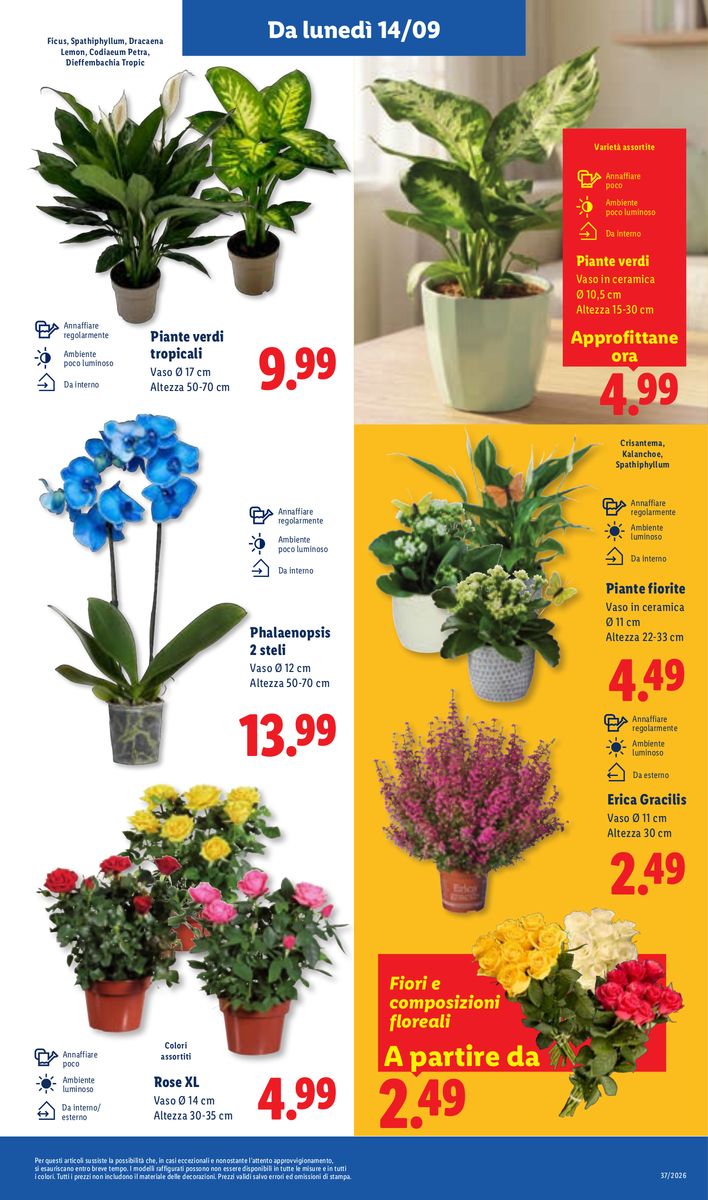 Lidl catalog page 47 — 2026-09-10 to 2026-09-16