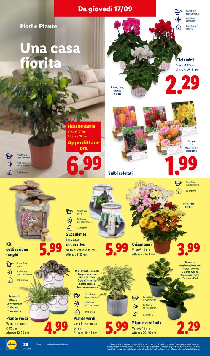 Lidl catalog page 32 — 2026-09-17 to 2026-09-23