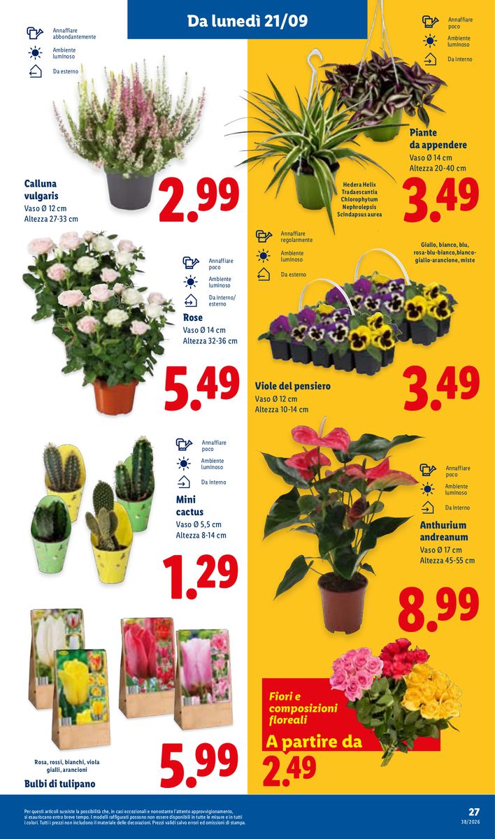 Lidl catalog page 33 — 2026-09-17 to 2026-09-23