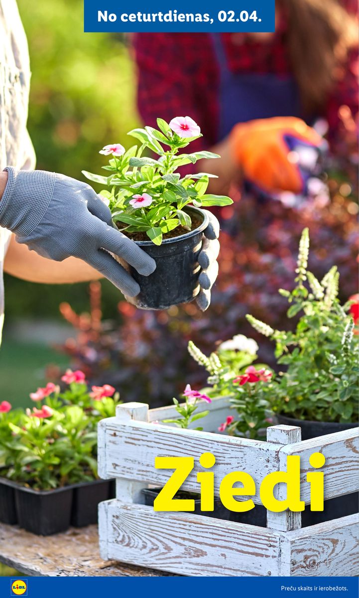 Lidl catalog page 8 — 2026-02-16 to 2026-06-07
