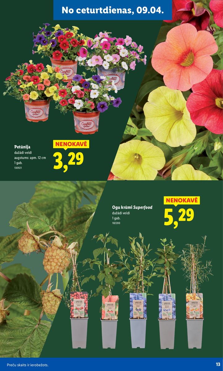 Lidl catalog page 13 — 2026-02-16 to 2026-06-07