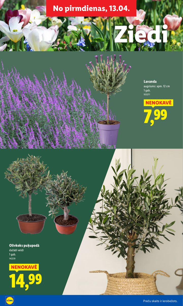 Lidl catalog page 16 — 2026-02-16 to 2026-06-07
