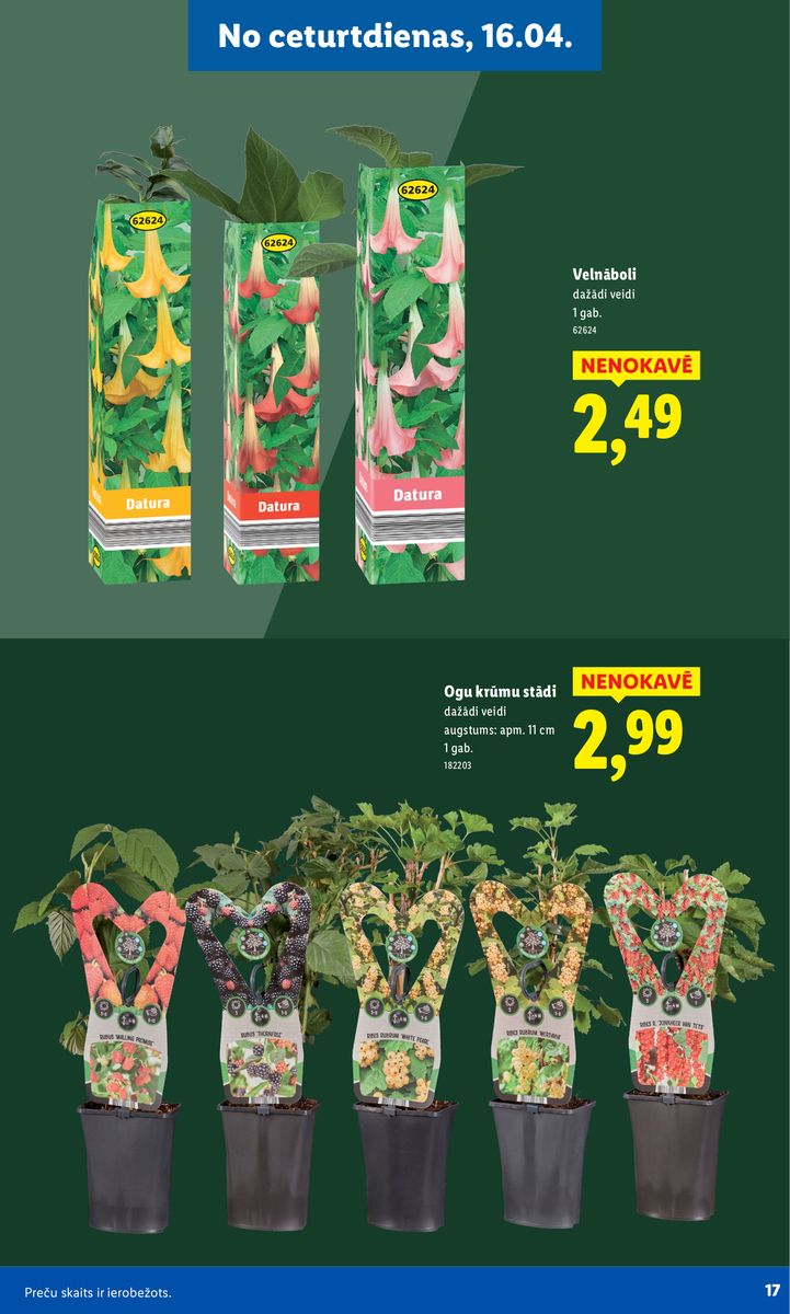 Lidl catalog page 17 — 2026-02-16 to 2026-06-07