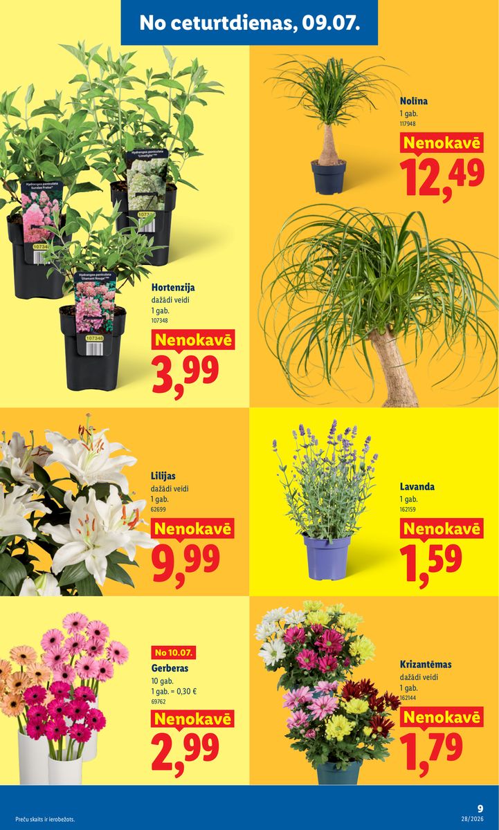 Lidl catalog page 9 — 2026-07-06 to 2026-07-12