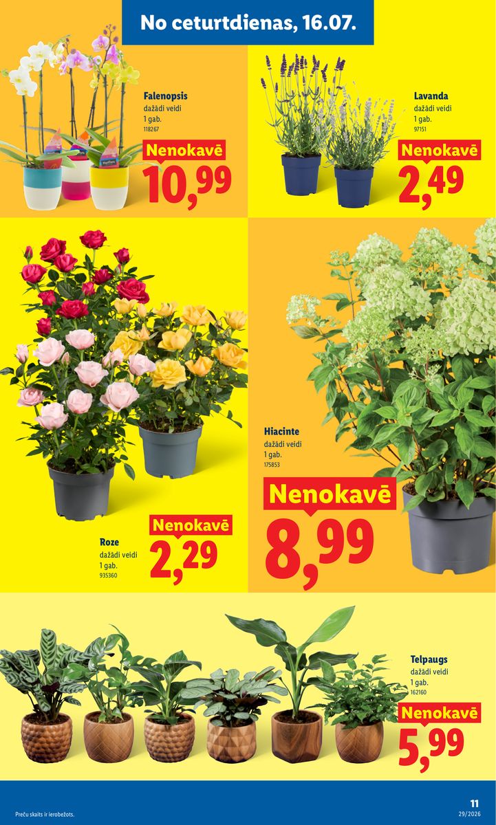 Lidl catalog page 11 — 2026-07-13 to 2026-07-19