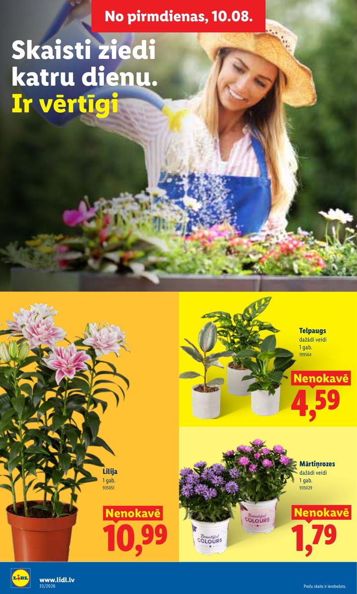 Lidl catalog page 8 — 2026-08-10 to 2026-08-16