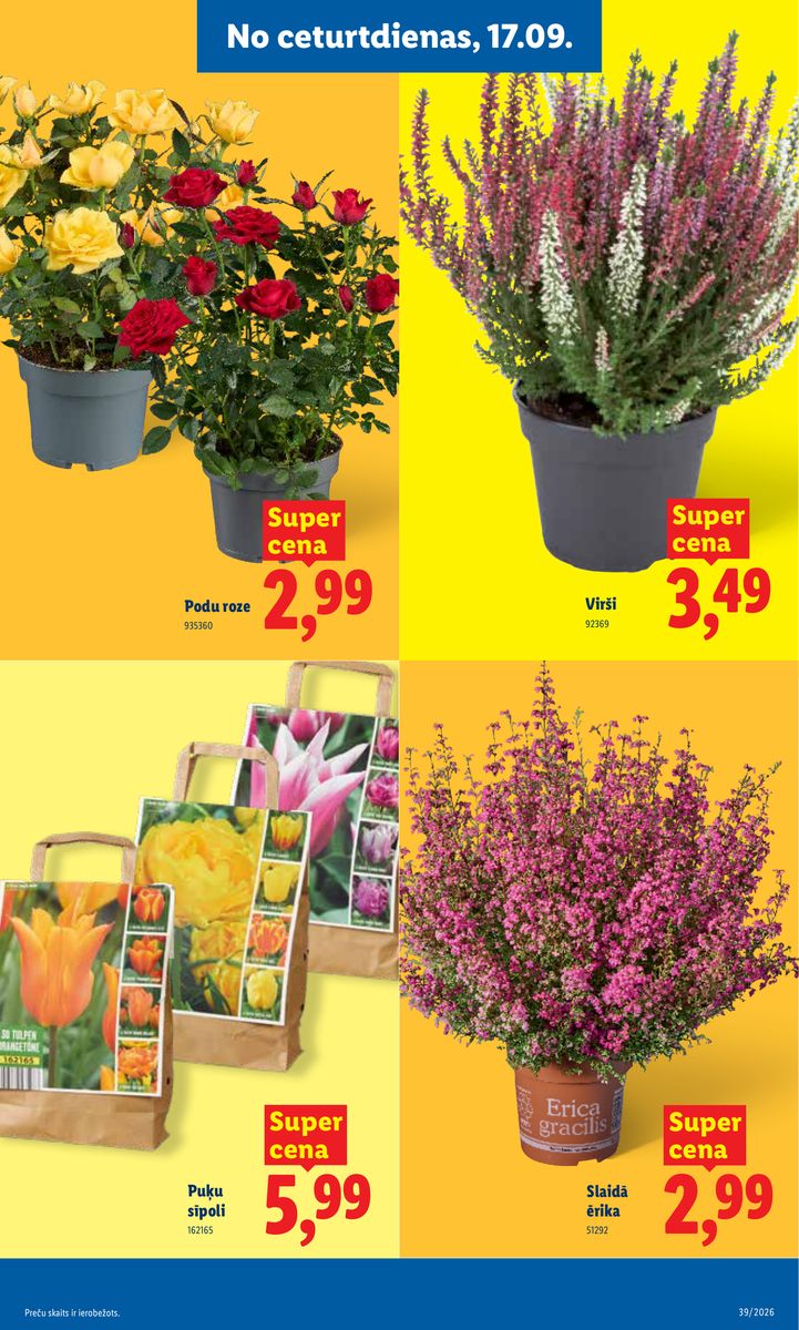 Lidl catalog page 19 — 2026-09-21 to 2026-09-27