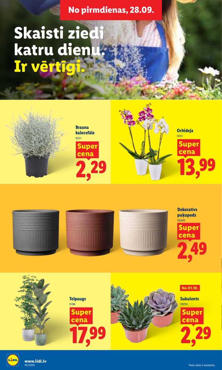 Lidl catalog page 24 — 2026-09-28 to 2026-10-04