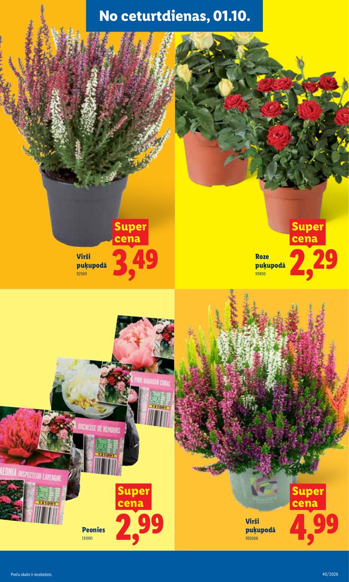 Lidl catalog page 25 — 2026-09-28 to 2026-10-04