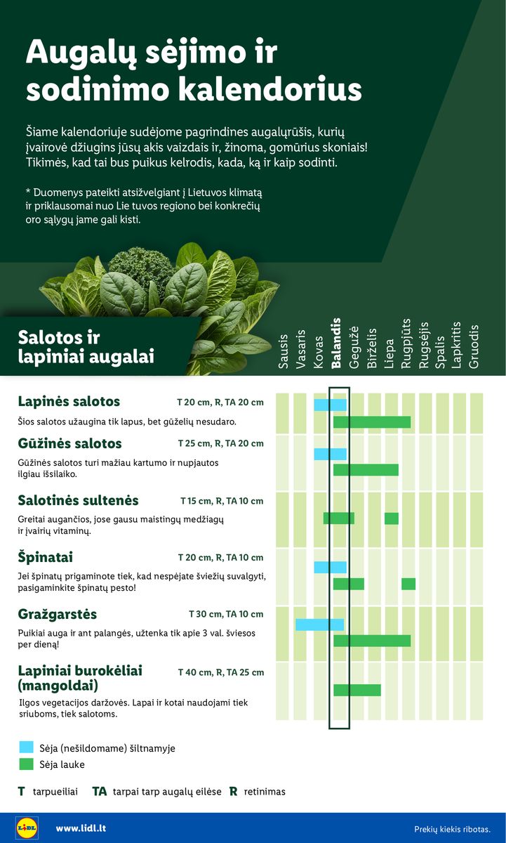 Lidl catalog page 4 — 2026-02-16 to 2026-06-07