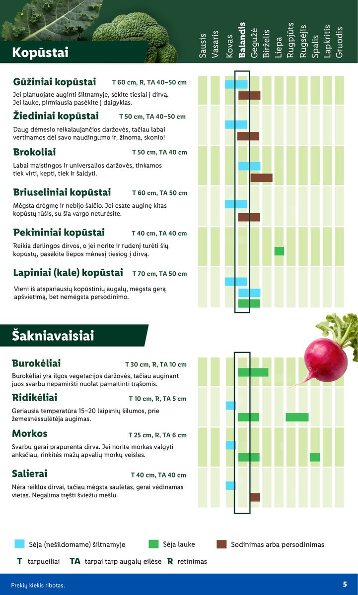 Lidl catalog page 5 — 2026-02-16 to 2026-06-07