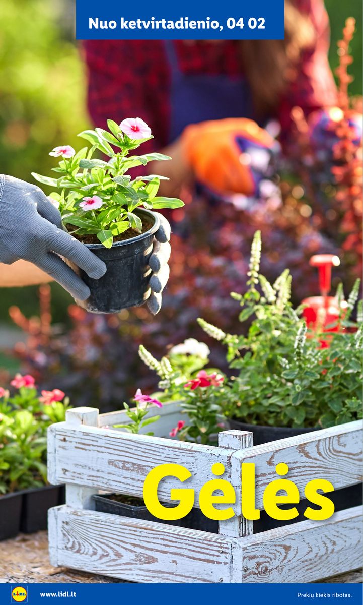 Lidl catalog page 8 — 2026-02-16 to 2026-06-07