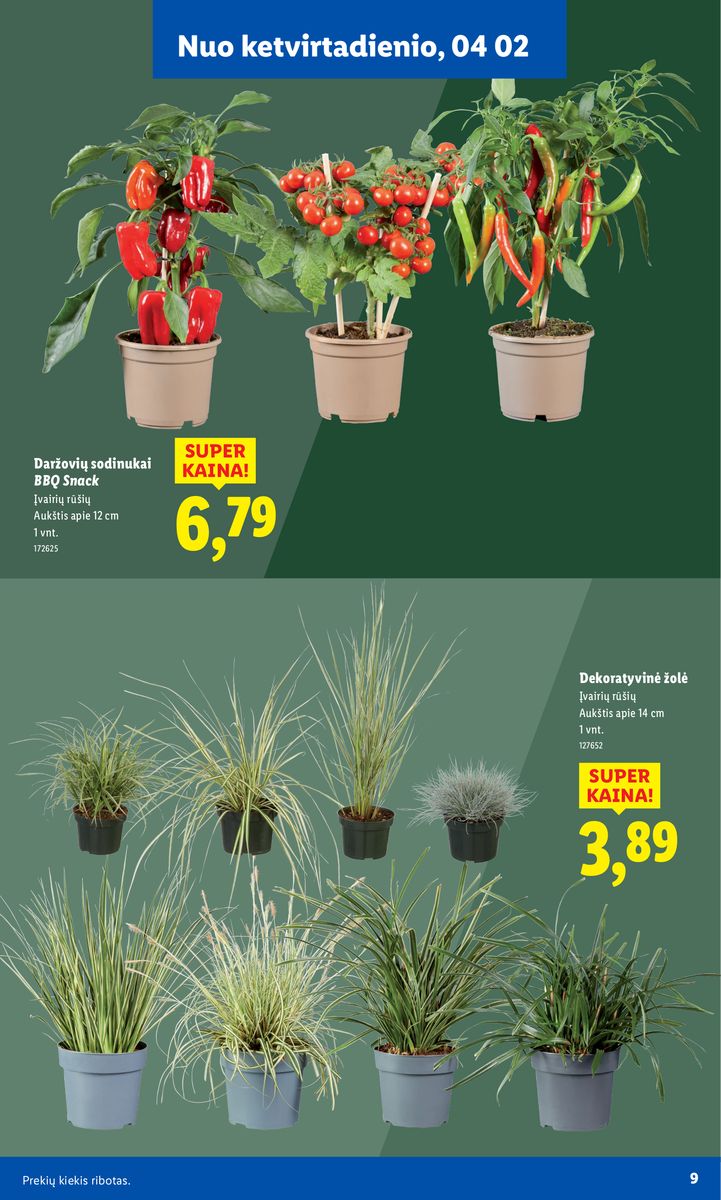 Lidl catalog page 9 — 2026-02-16 to 2026-06-07