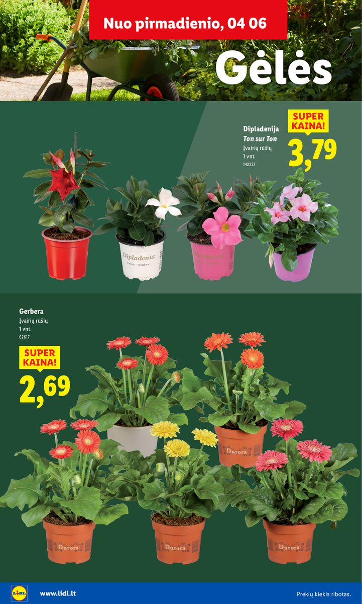 Lidl catalog page 14 — 2026-02-16 to 2026-06-07