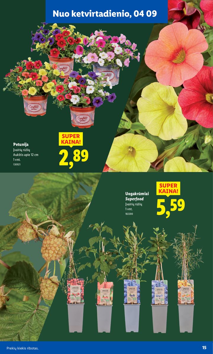 Lidl catalog page 15 — 2026-02-16 to 2026-06-07