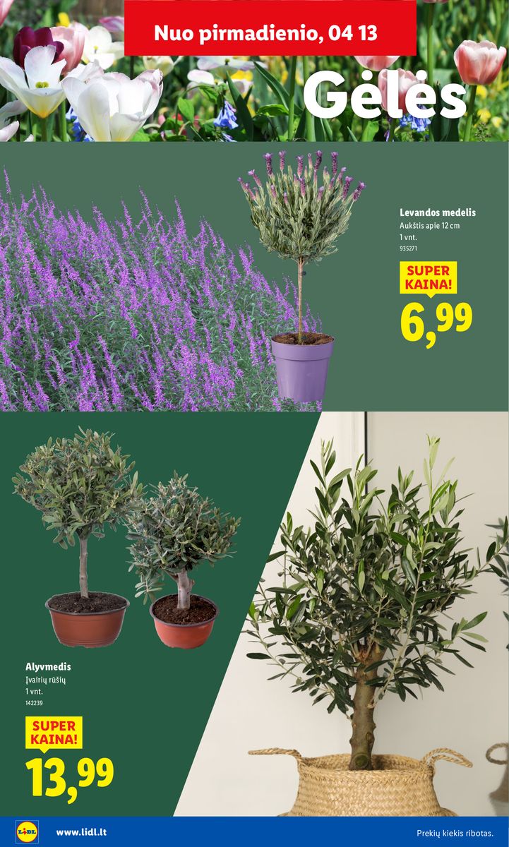 Lidl catalog page 22 — 2026-02-16 to 2026-06-07