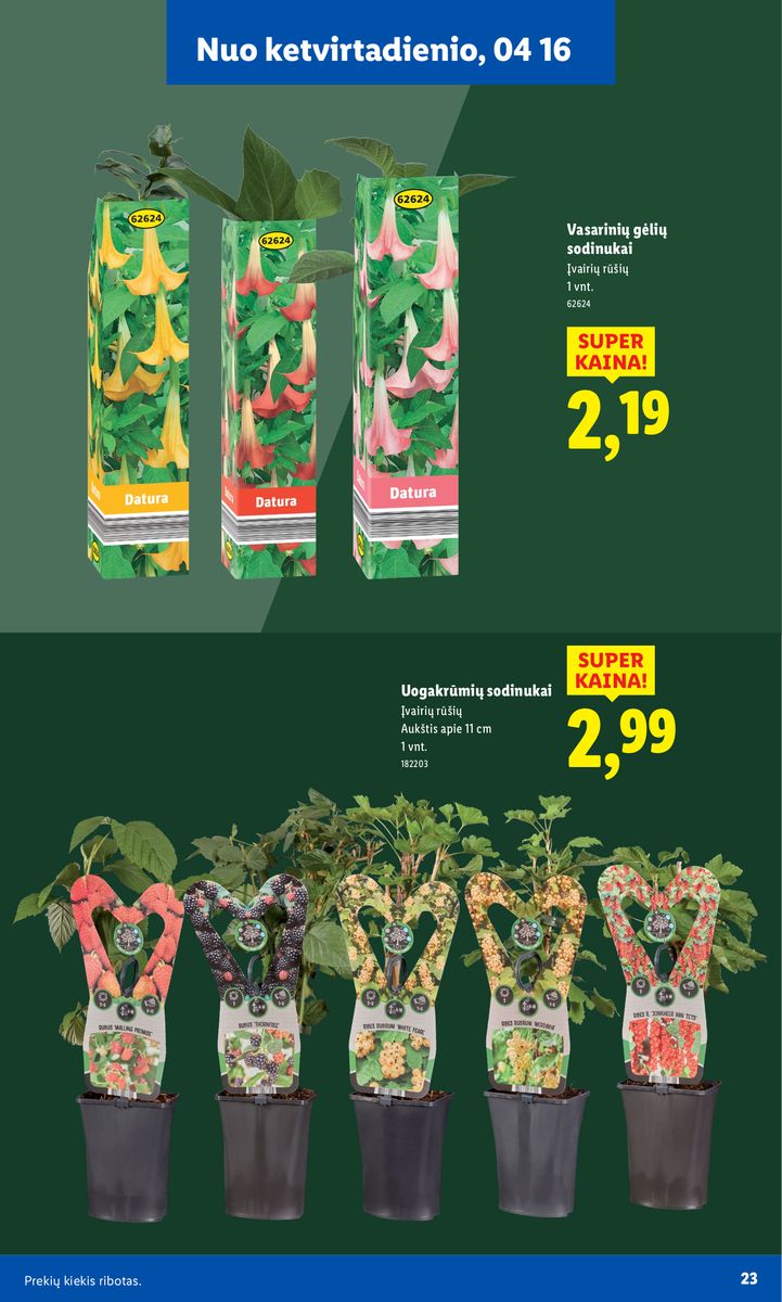 Lidl catalog page 23 — 2026-02-16 to 2026-06-07