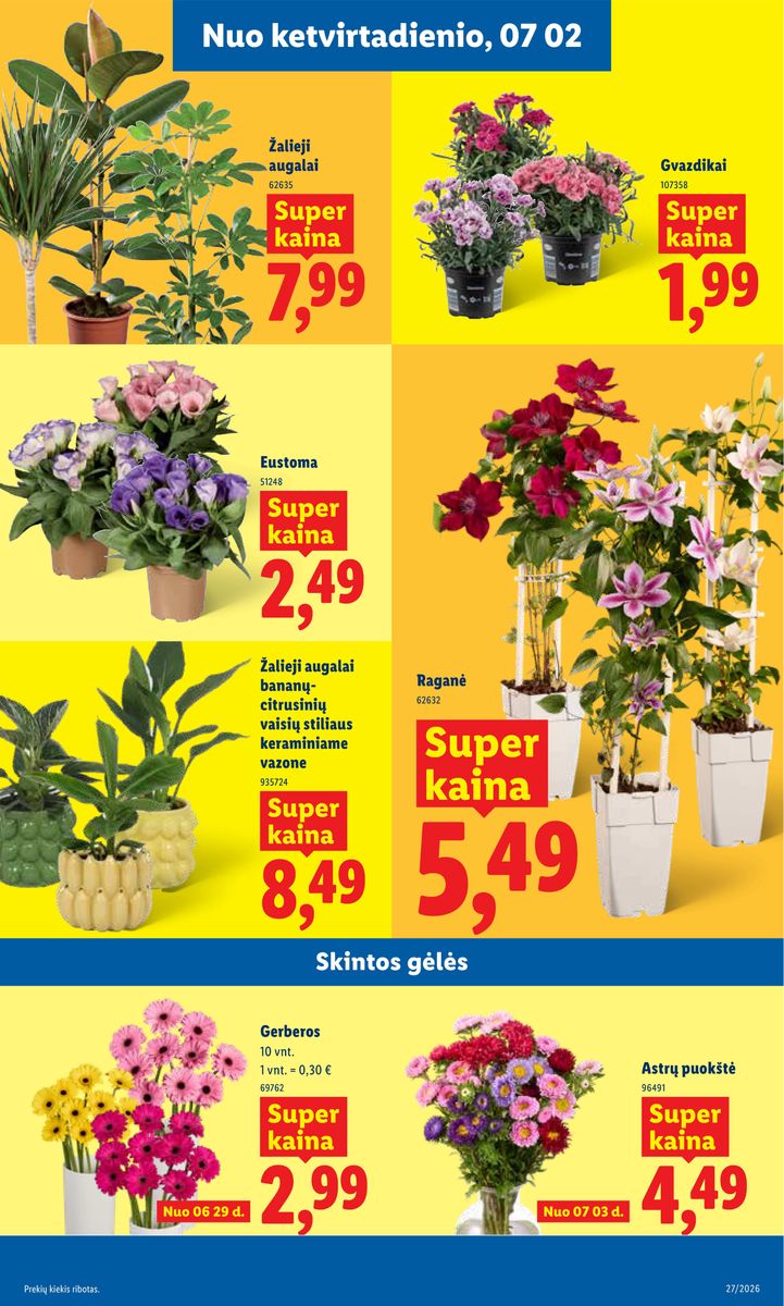 Lidl catalog page 9 — 2026-06-29 to 2026-07-05