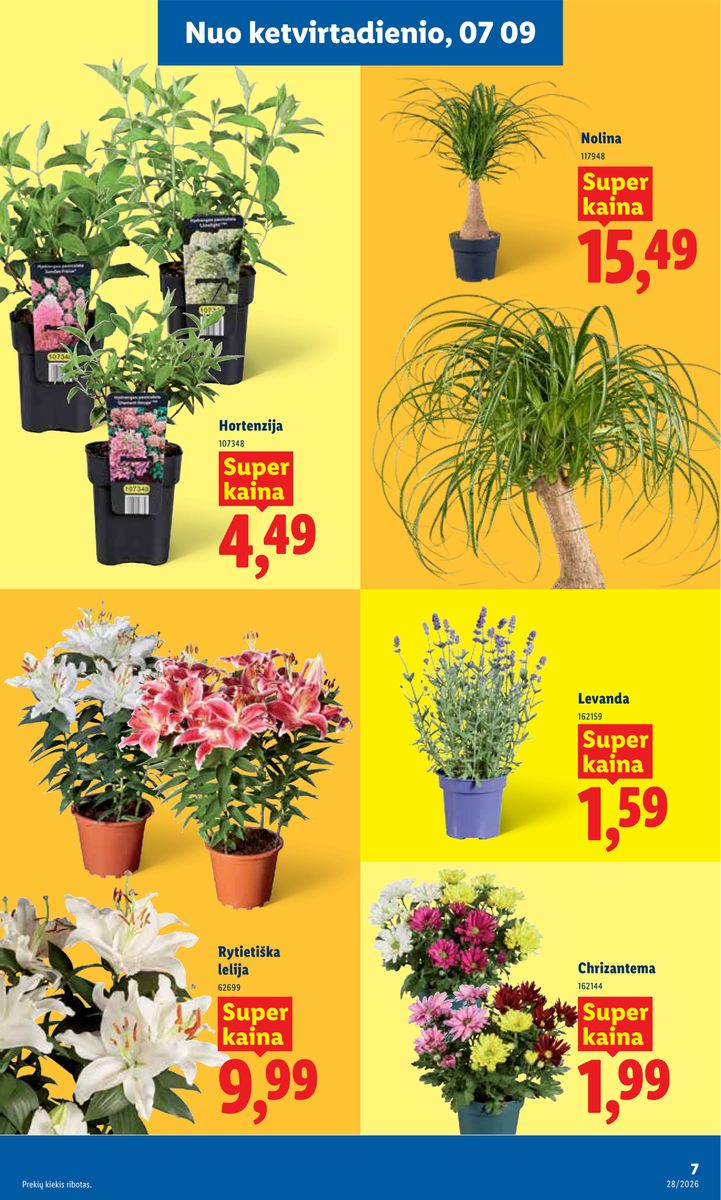Lidl catalog page 7 — 2026-07-06 to 2026-07-12