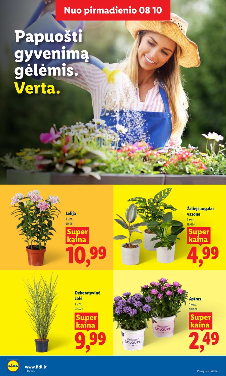Lidl catalog page 12 — 2026-08-10 to 2026-08-16