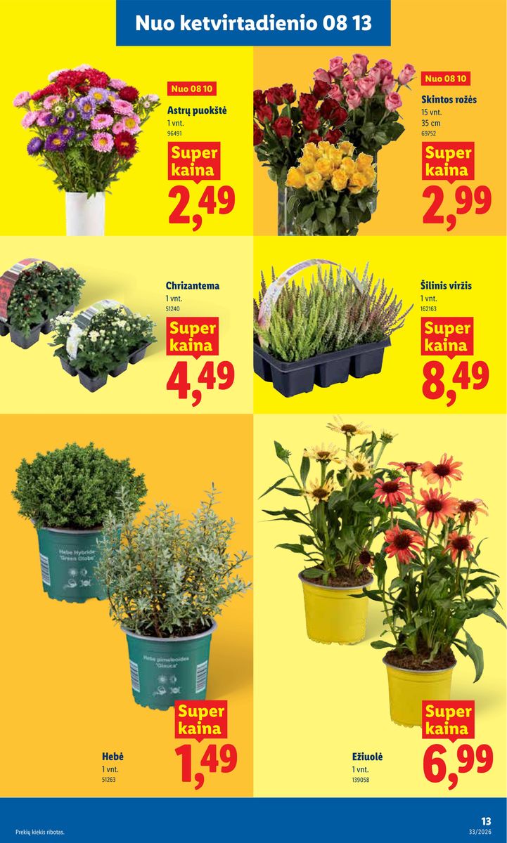 Lidl catalog page 13 — 2026-08-10 to 2026-08-16