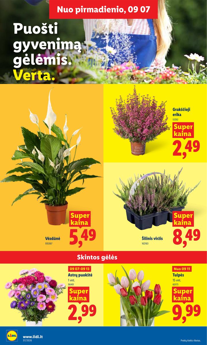 Lidl catalog page 20 — 2026-09-07 to 2026-09-13