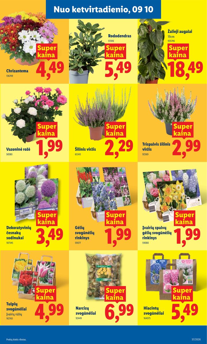 Lidl catalog page 21 — 2026-09-07 to 2026-09-13