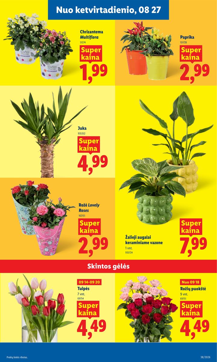 Lidl catalog page 19 — 2026-09-14 to 2026-09-20